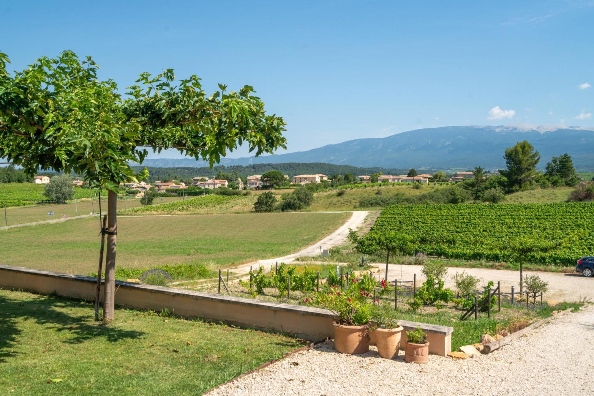 Вилла Les Terrasses De Cascavelle Blauvac Экстерьер фото